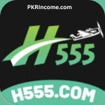 H555 Game